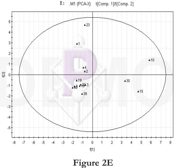 Figure 2E