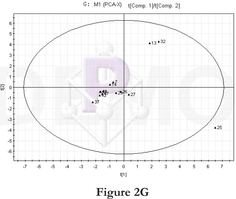 Figure 2G