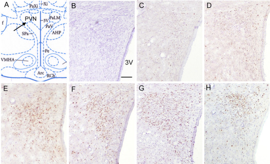 Fig. 2