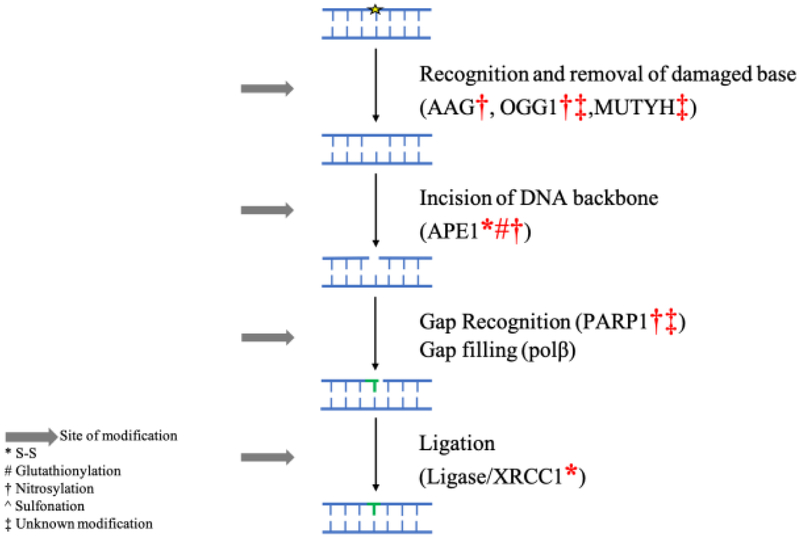 Figure 3: