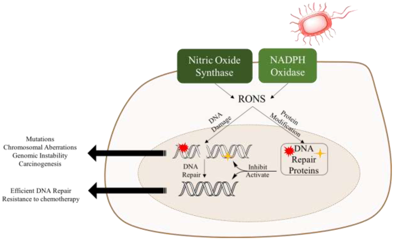 Figure 1: