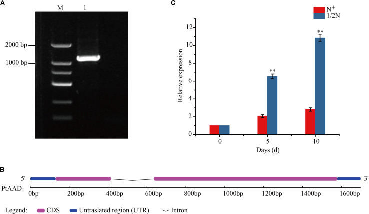 FIGURE 2