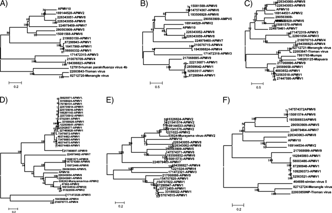 FIG. 2.