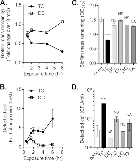 FIG 2