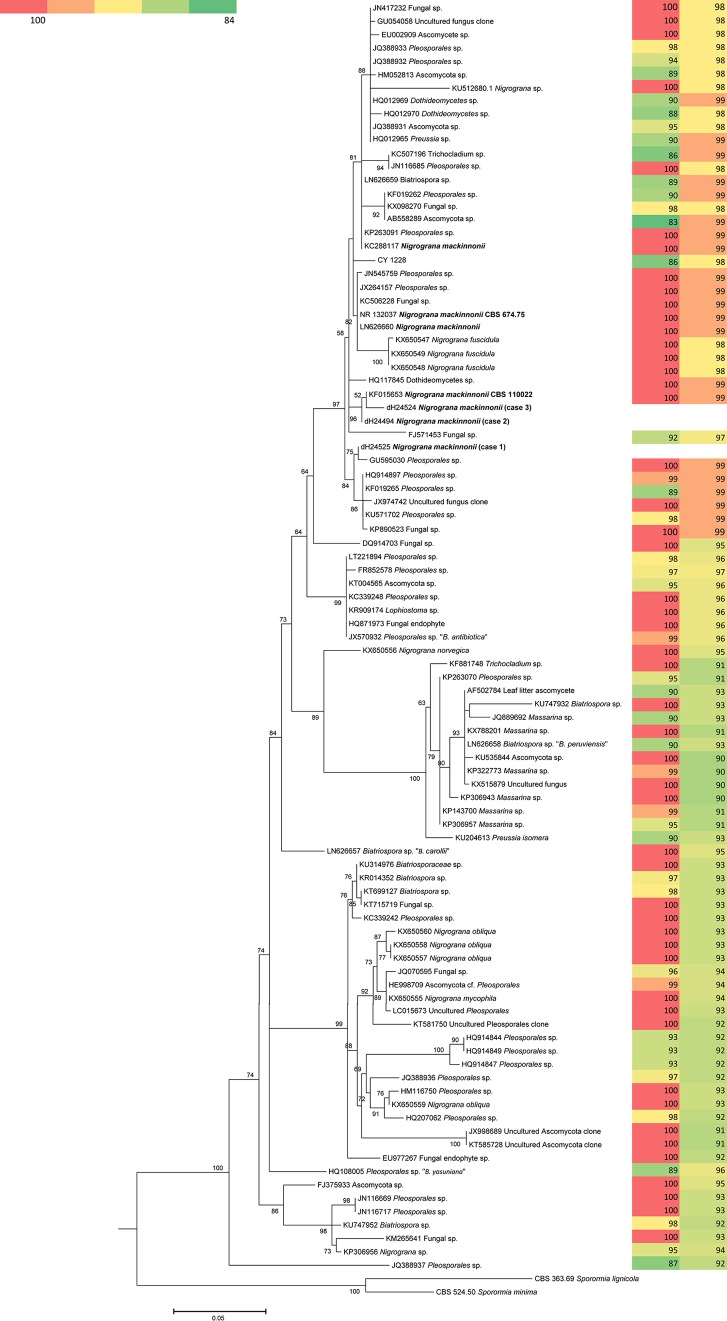 FIG 3