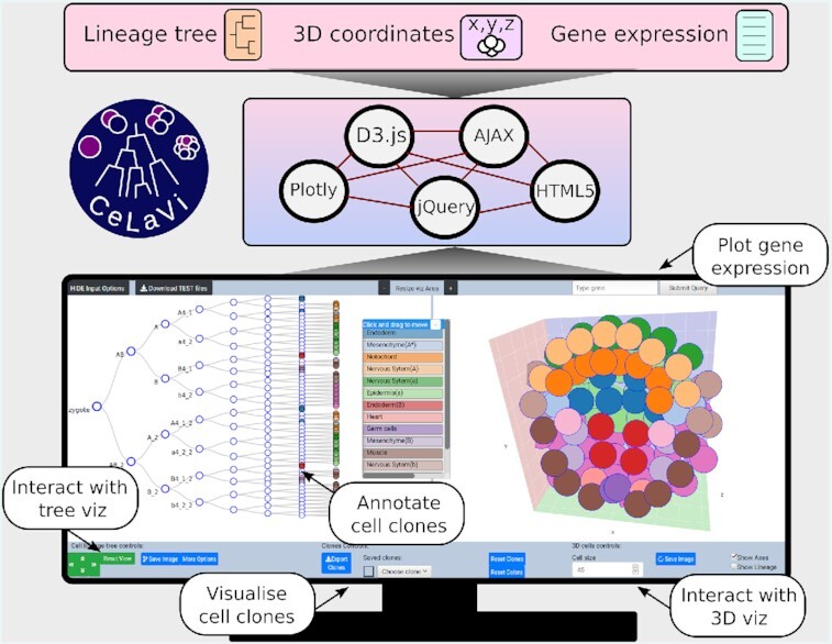 Graphical Abstract