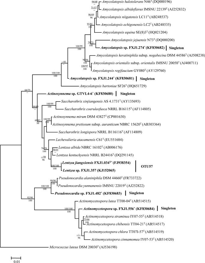 FIG 1