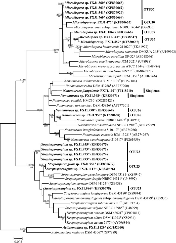 FIG 2