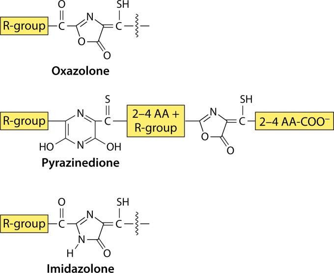 FIG 2