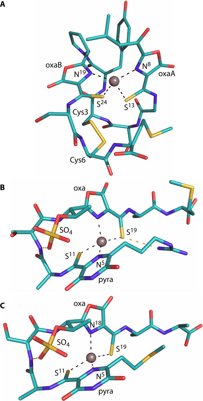 FIG 3