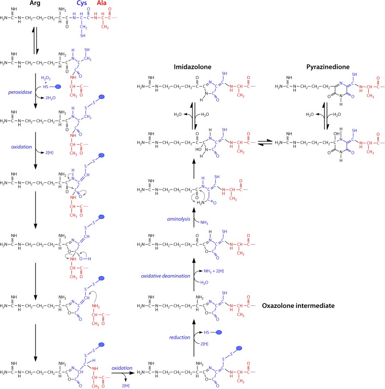 FIG 6