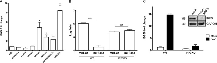 FIG 5