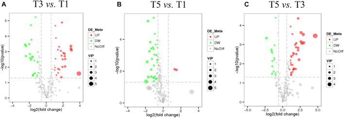 FIGURE 3