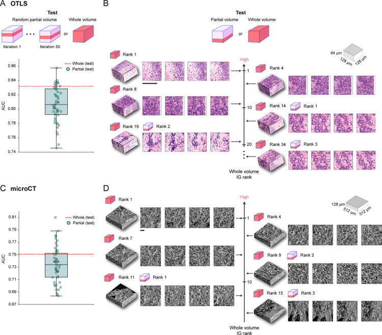 Figure 4: