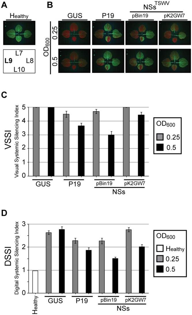 Fig 2