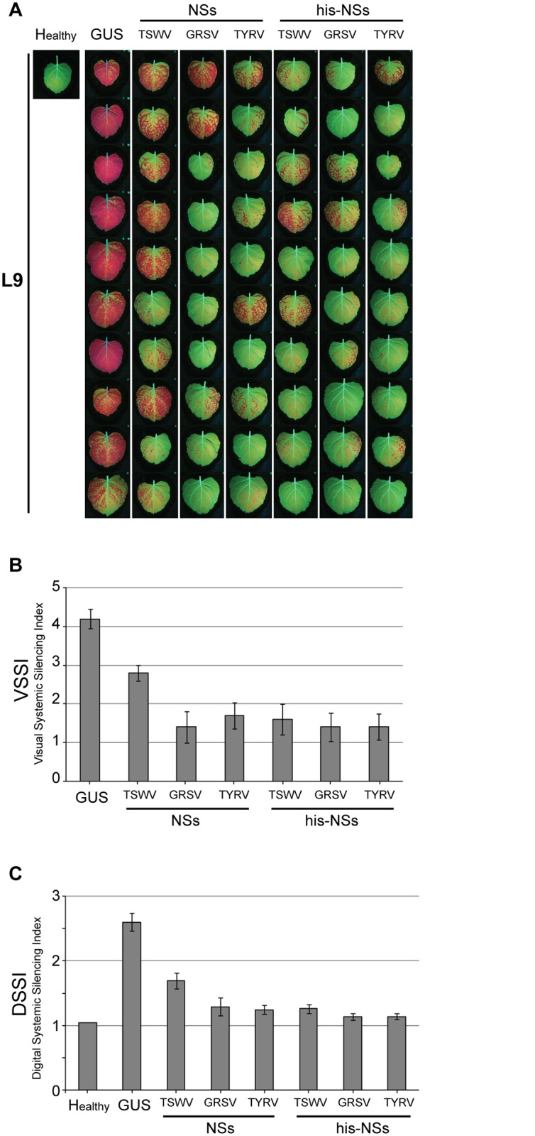 Fig 4