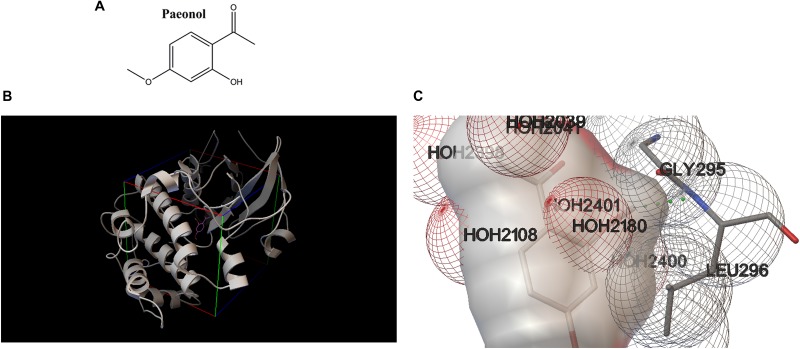 FIGURE 7