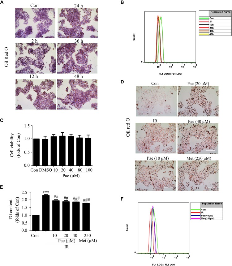 FIGURE 3