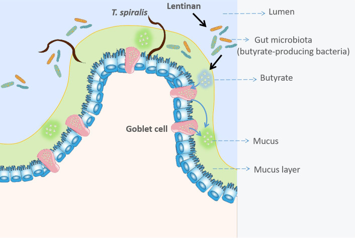 Figure 6