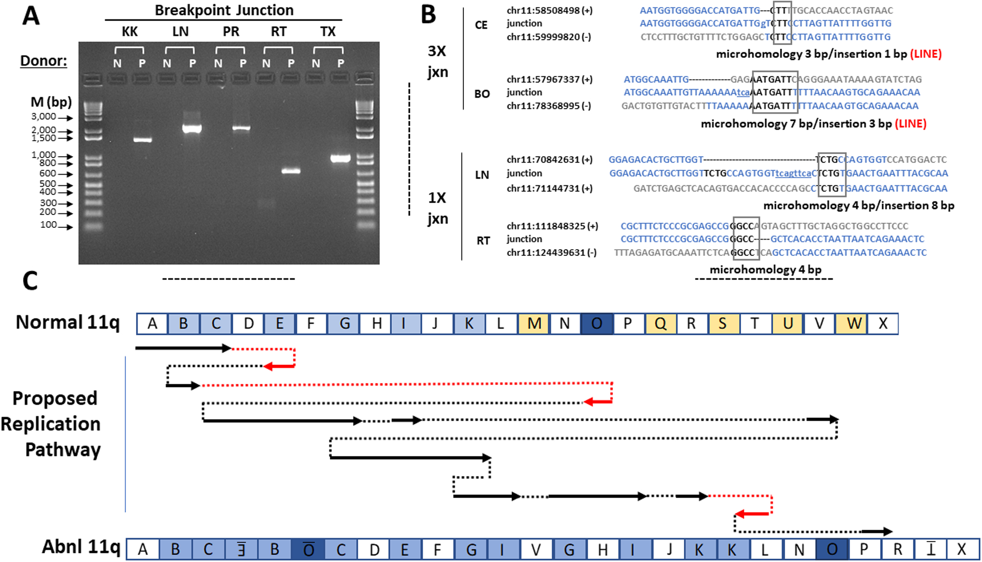 Figure 3.