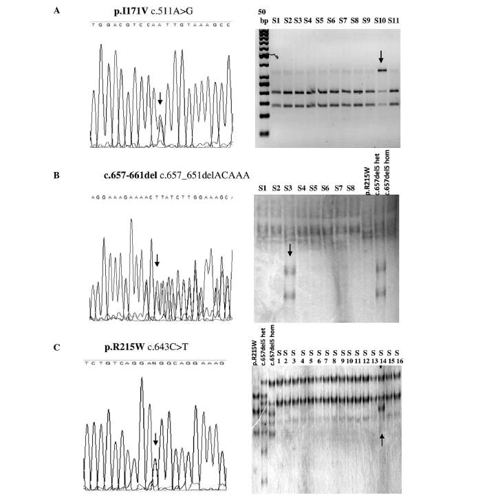 Figure 2.