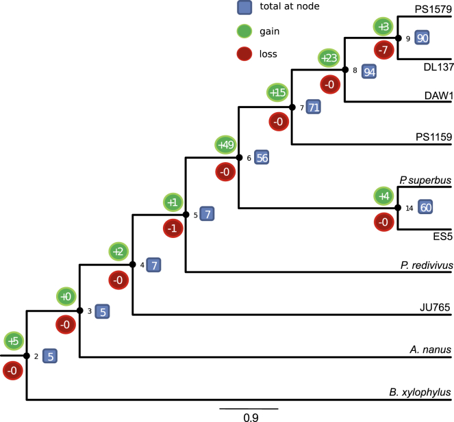 Figure 5