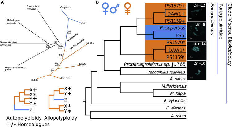 Figure 1