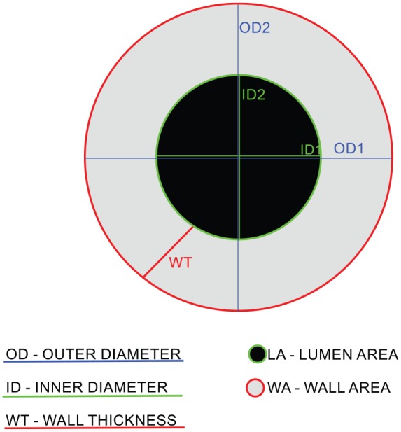 Figure 4.