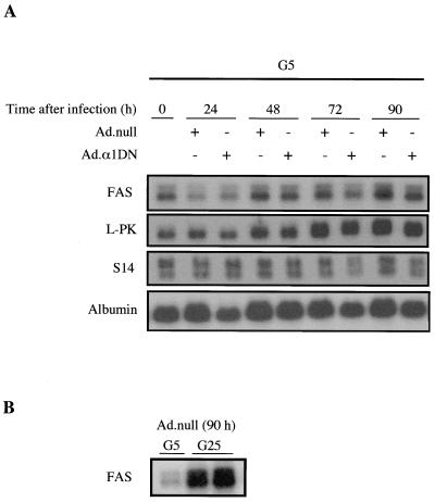 FIG. 6