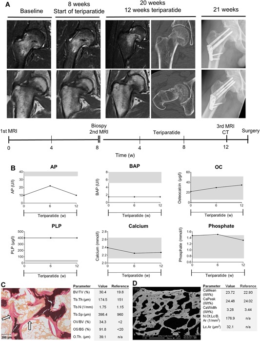 Figure 6