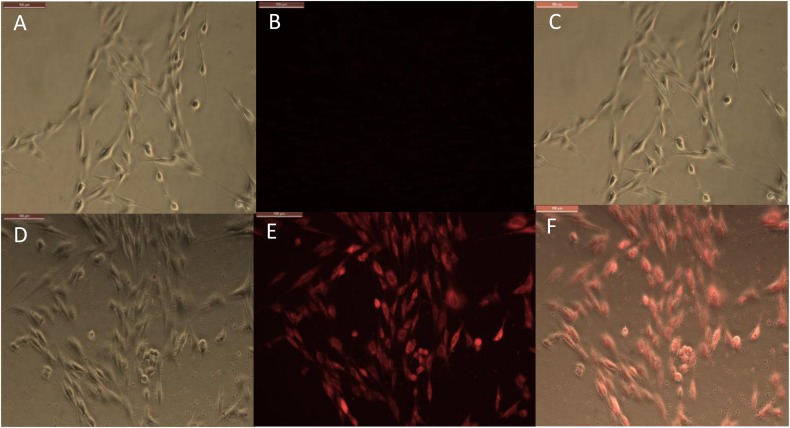 FIGURE 3