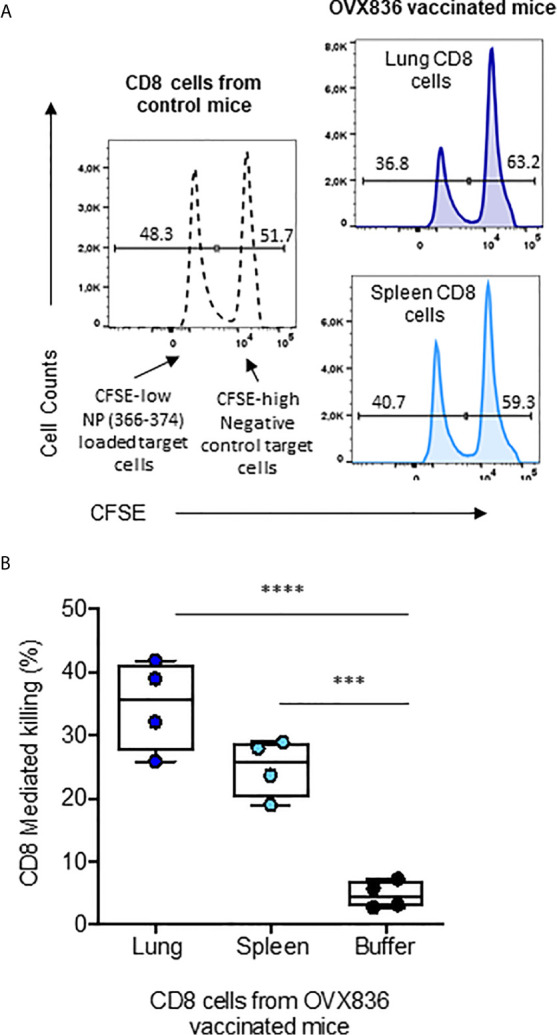 Figure 6