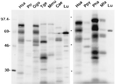FIG. 7