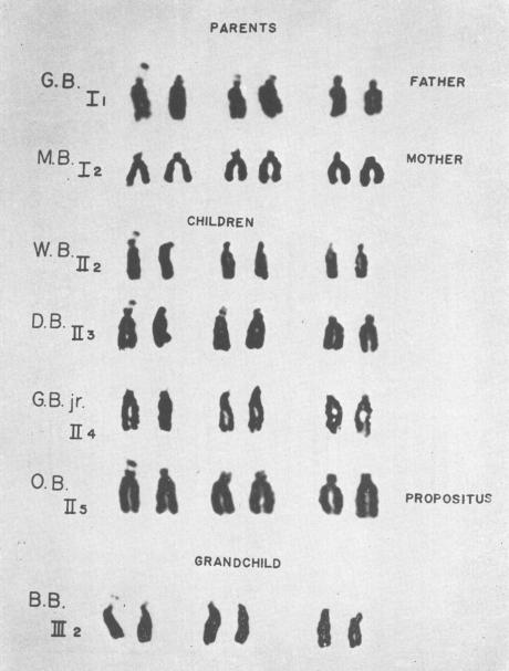 Fig. 11