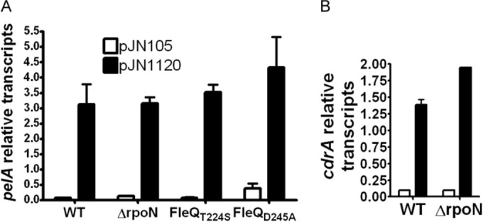 FIG 6