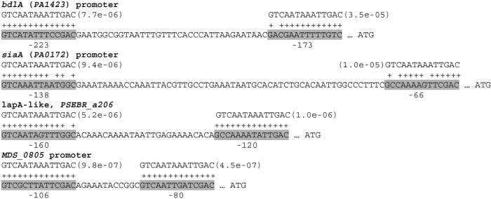 FIG 8