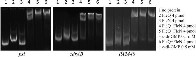 FIG 3