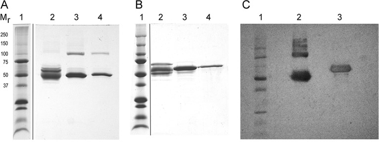 FIG 6