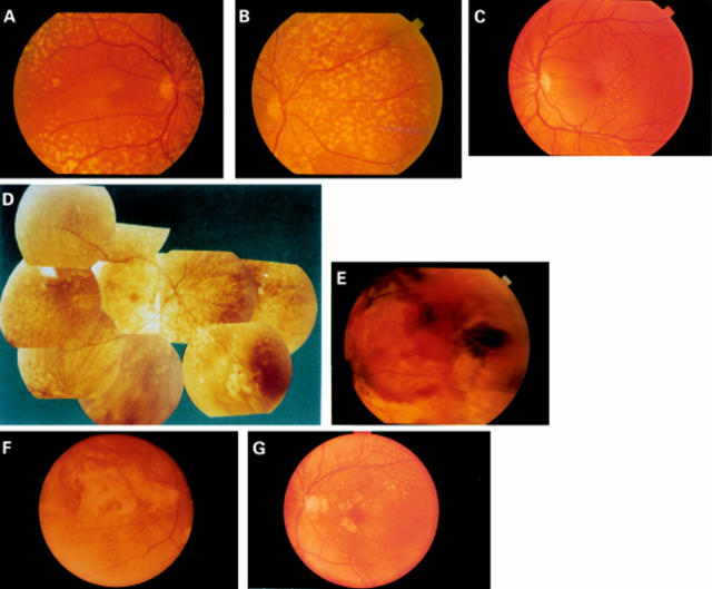 Figure 2  