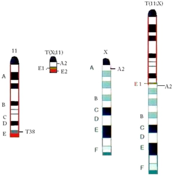 Figure 1