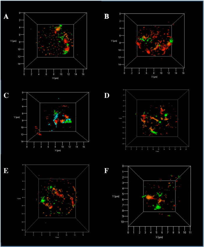 Figure 4