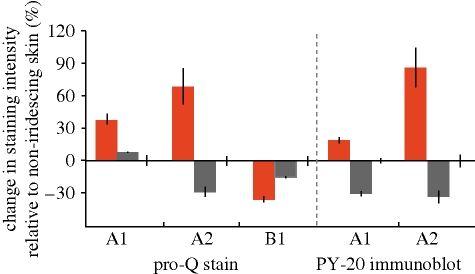 Figure 6.