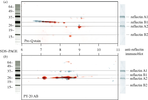 Figure 3.