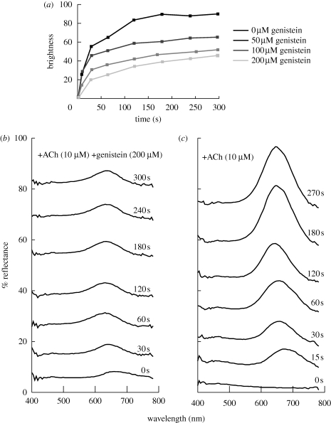 Figure 2.