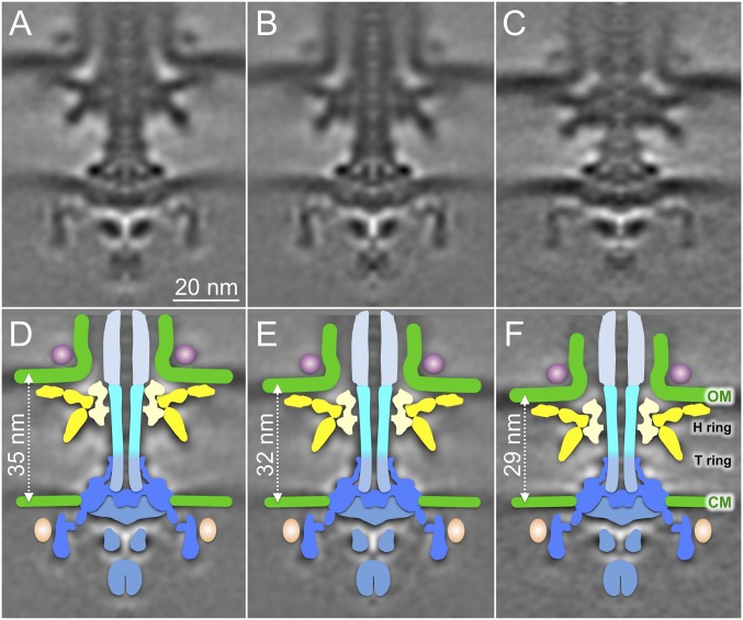 Fig. 2.