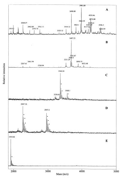 FIG. 5