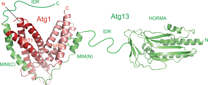 Fig. 3