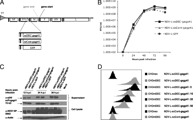 FIG. 1.