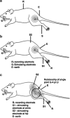 FIG. 2.