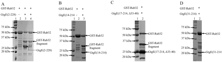 Fig 5